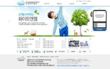 화이트엔젤캐피탈 이미지